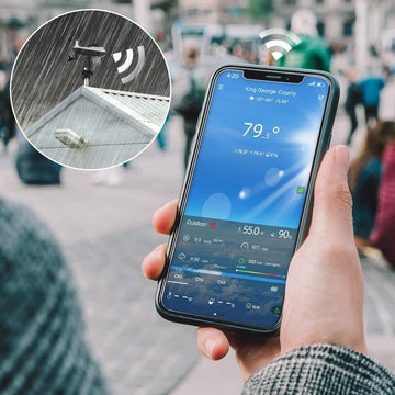 Newentor Wifi Weather Station with Outdoor Sensor, 8-in-1 with Temperature, Humidity, Wind Speed, Rainfall, Weather Forecast, Air Pressure
